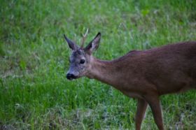 IMG_0689.jpg