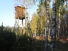 Zippelsförde (182).JPG