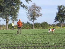 Jagd 2012 I (22).JPG