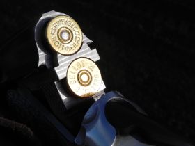 Jagd 2012 I (14).JPG