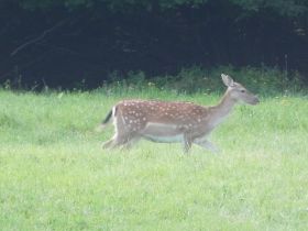 DSCN0737.JPG